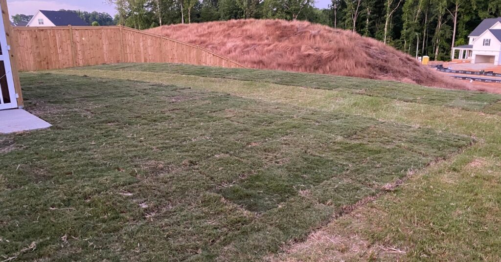 lawn seeding service