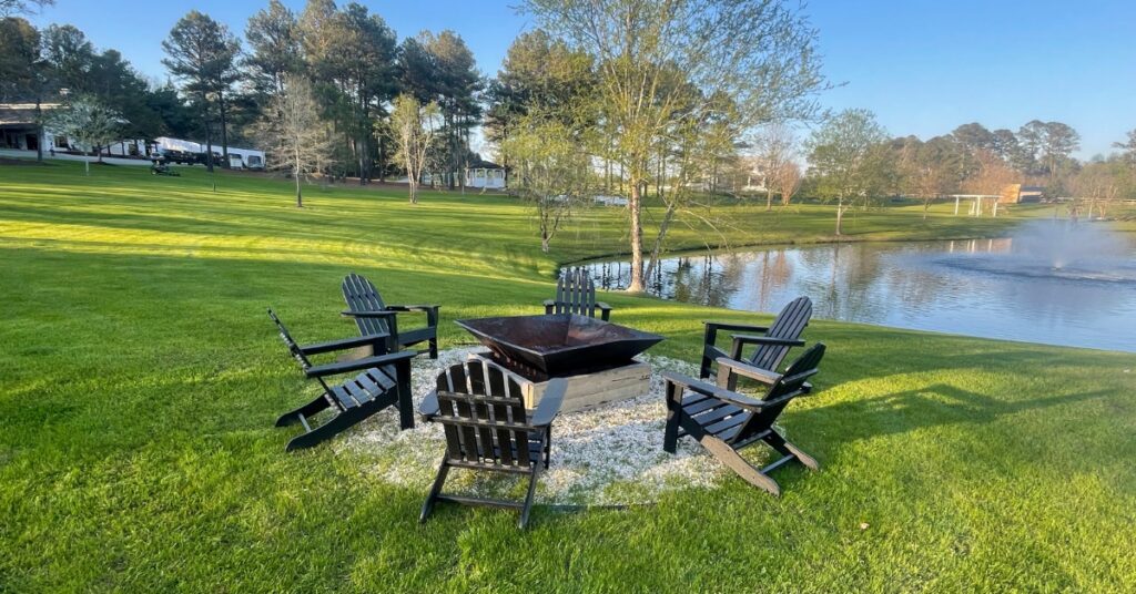 Which Grass Is Best for Your NC Yard