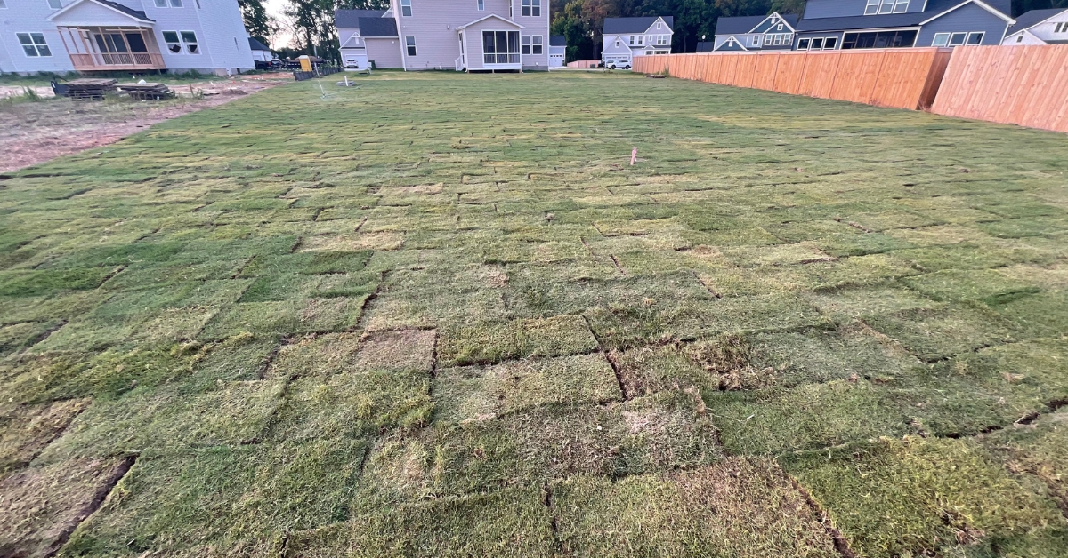 grass patch repair