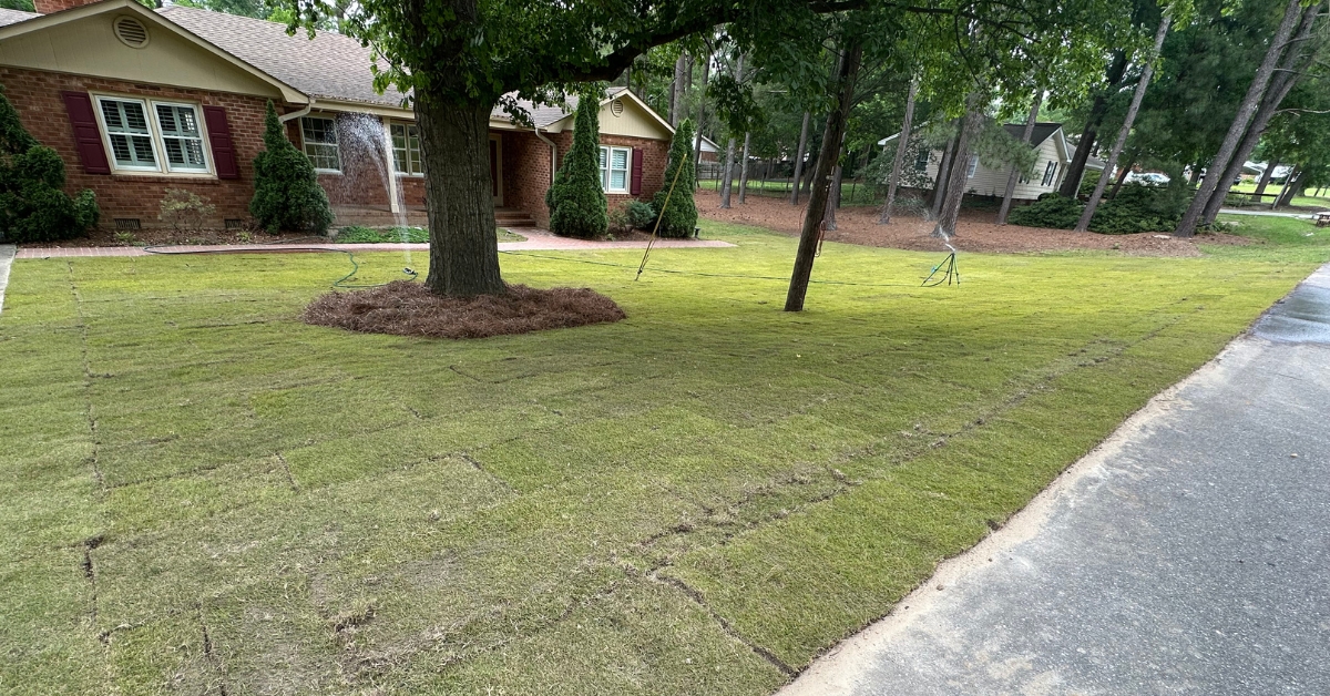 2 how much does sod cost