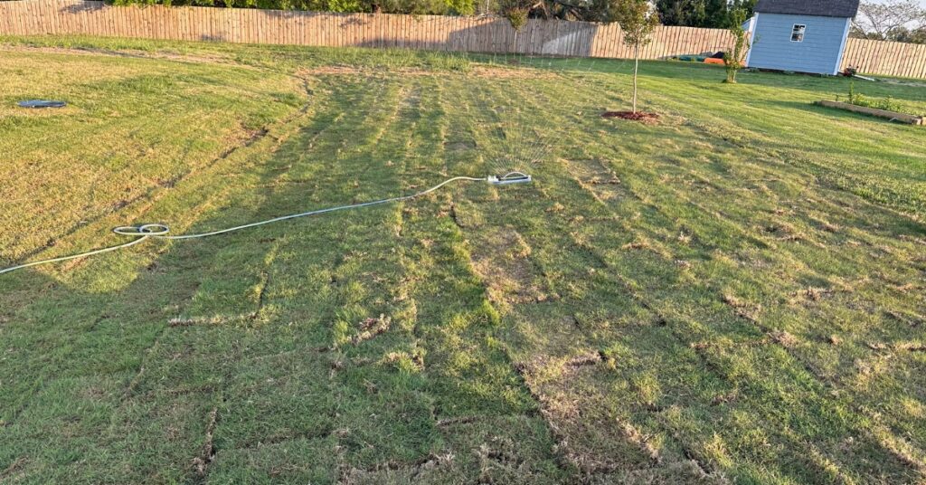 how much does sod cost