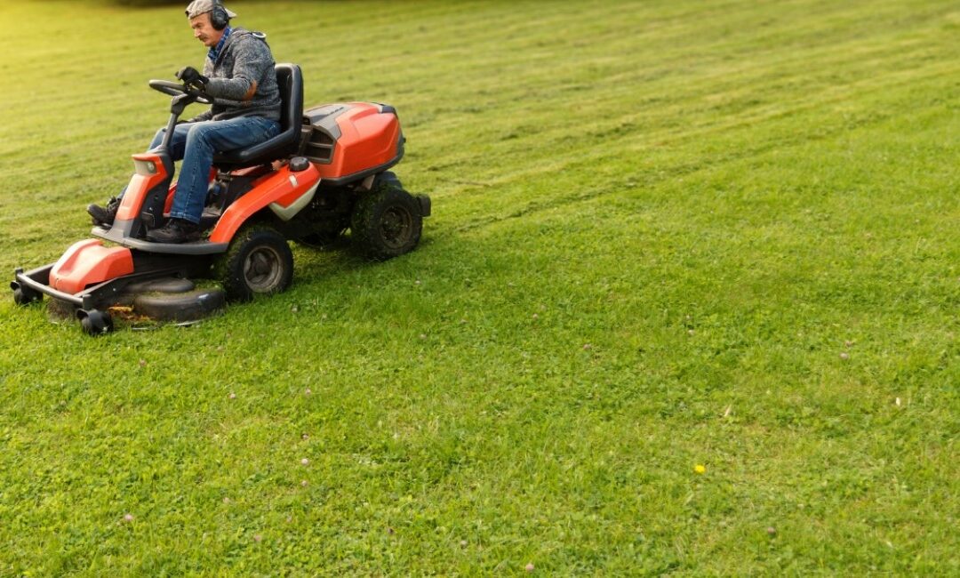 Zoysia vs Bermuda: Which Grass Is Best for Your NC Yard?