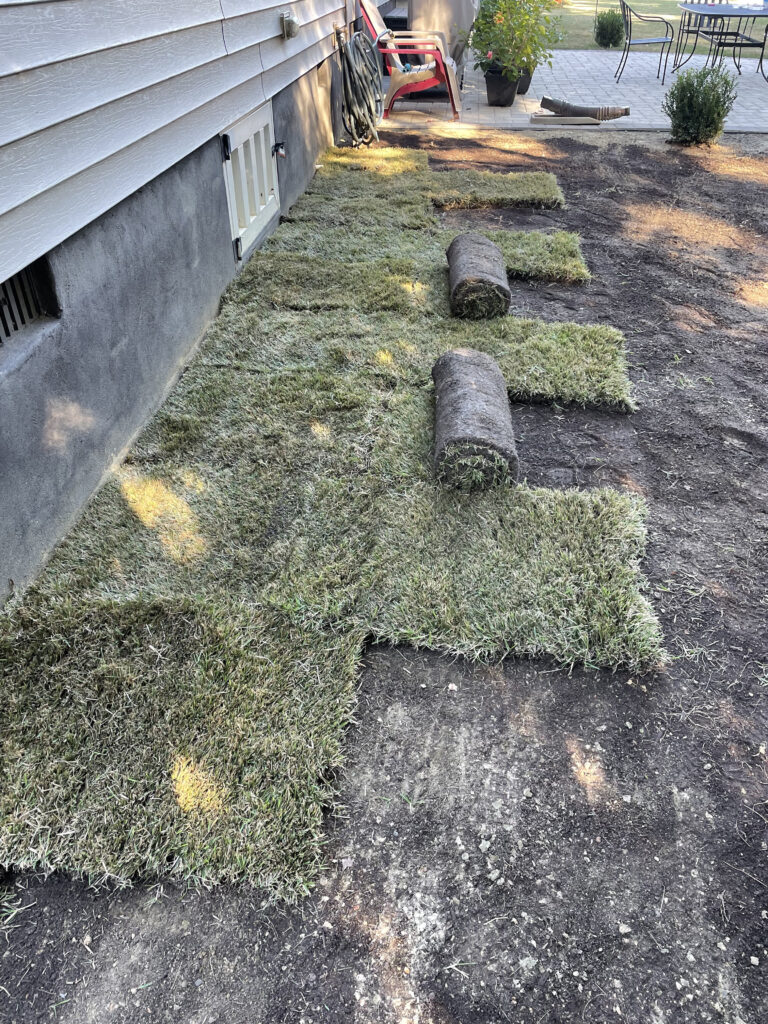 Which Grass Is Best for Your NC Yard