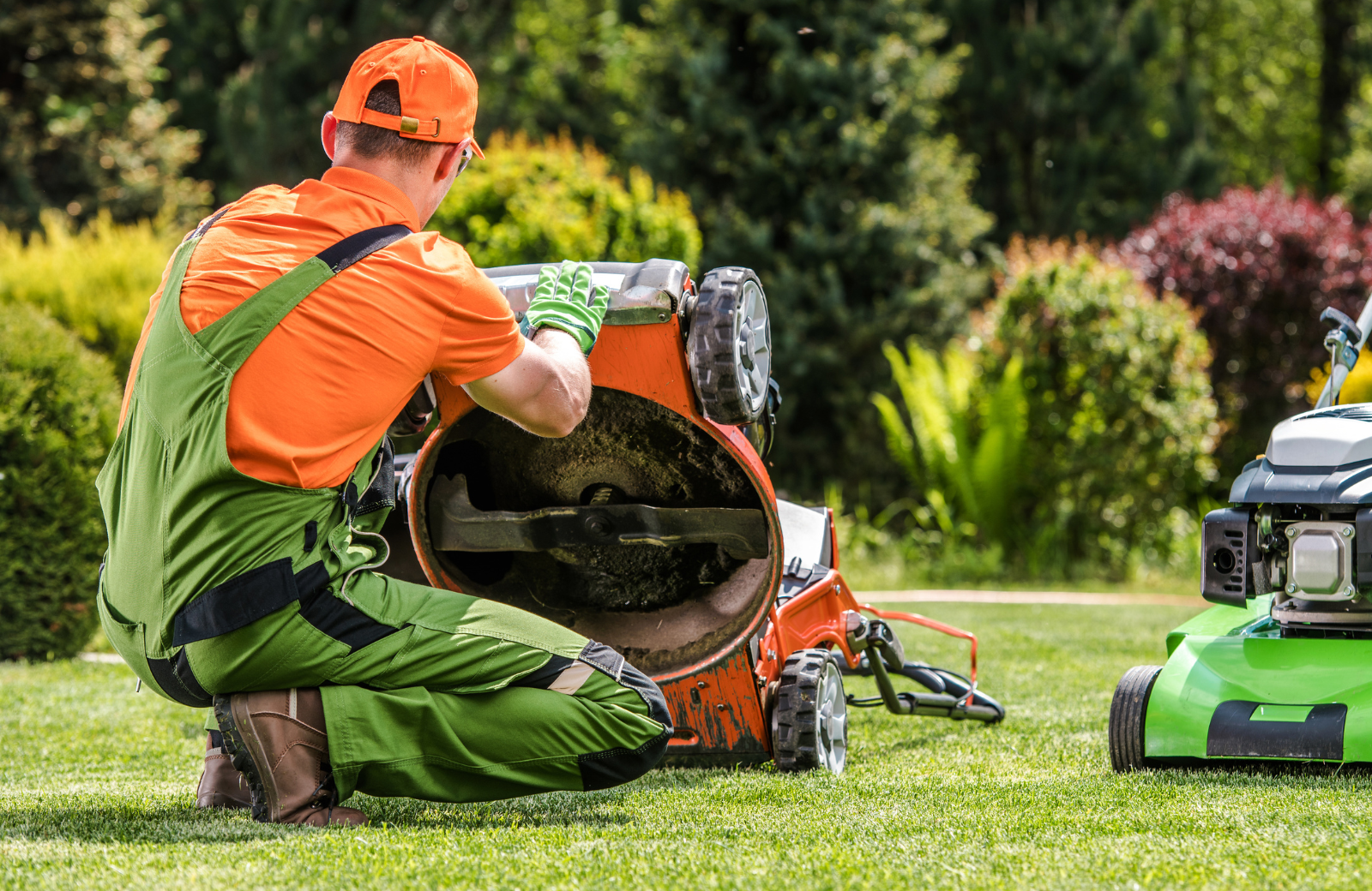 The Best Time to Mow Lawn for a Healthier North Carolina Yard