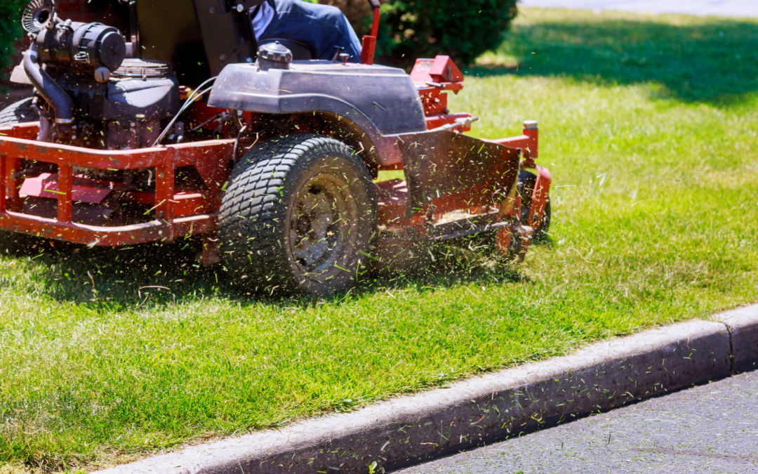 The Best Time to Mow Lawn for a Healthier North Carolina Yard
