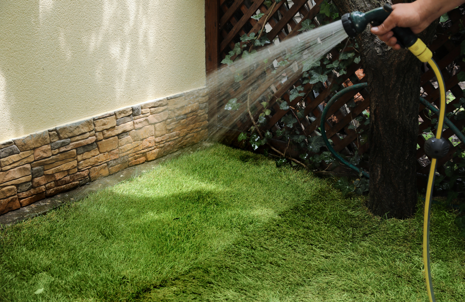 watering newly installed sod