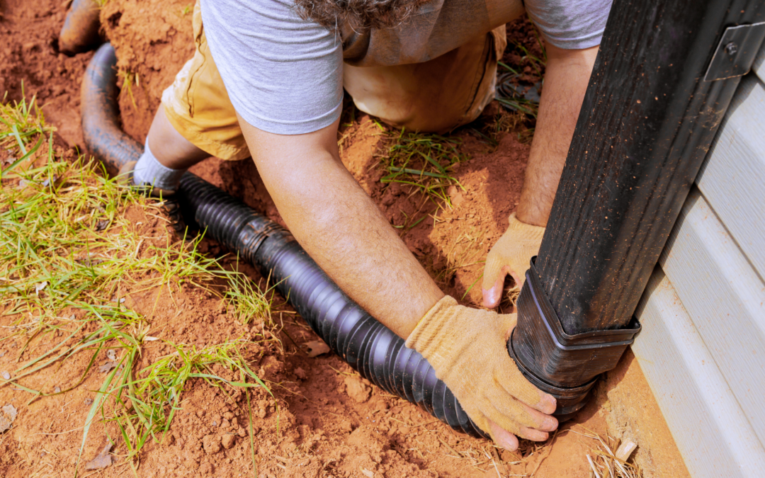 Downspout Drainage: Where Your Roof Water Should Really Go