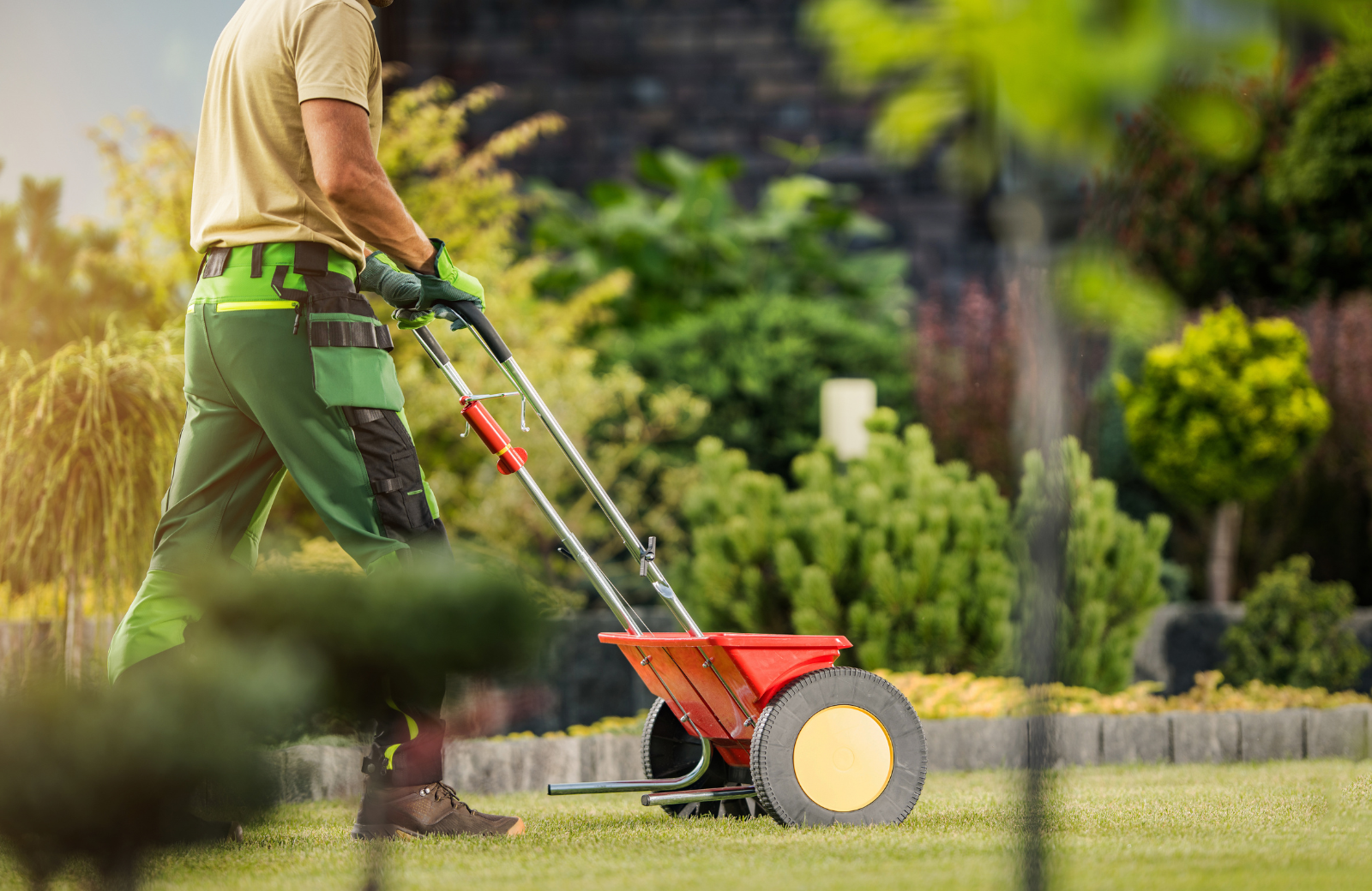 Your Fall Lawn Care Schedule for a Thicker North Carolina Yard