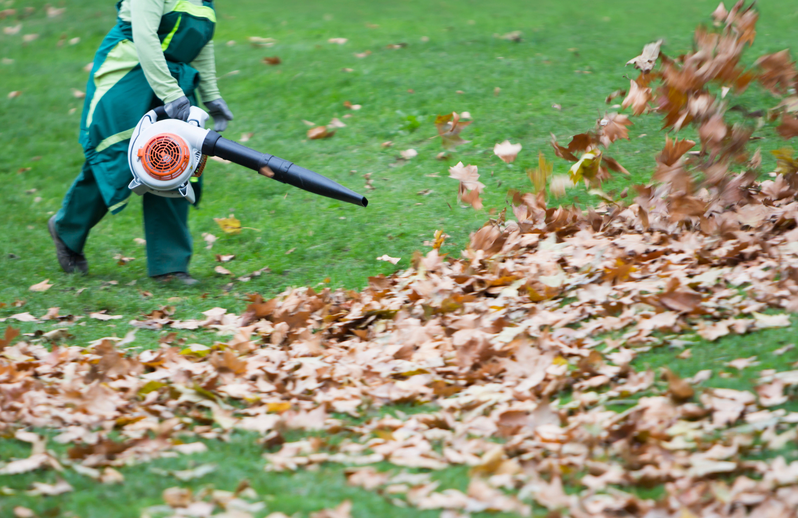 Your Fall Lawn Care Schedule for a Thicker North Carolina Yard