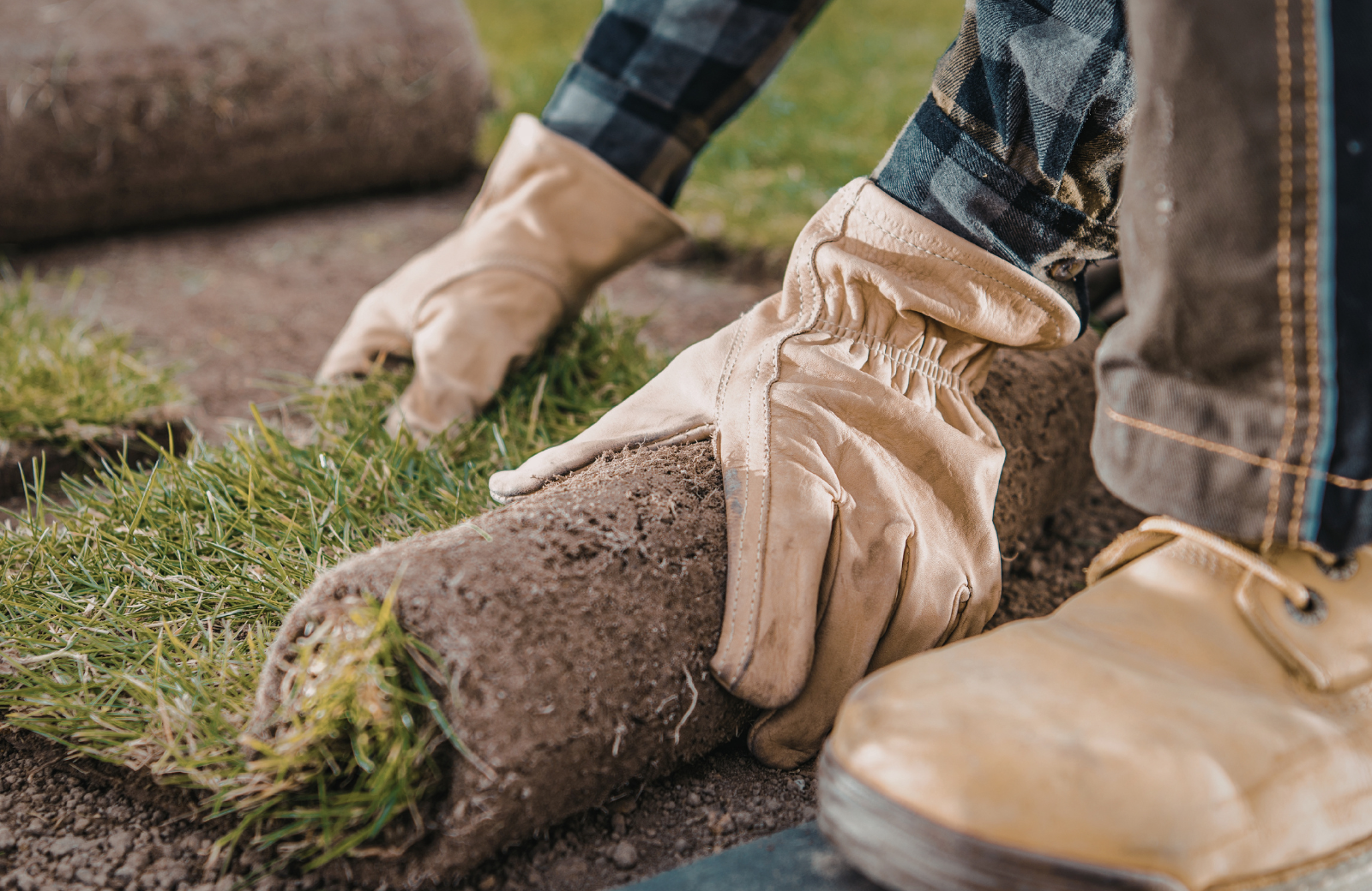 Can You Lay Sod in the Winter? What North Carolina Homeowners Should Know